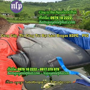 Túi Bạt Bigoas HDPE