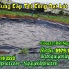 Bạt Trải Lót Hồ Chứa Trữ Nước Tưới Cây Chuối, Sầu Riêng Đạt Chuẩn DEM