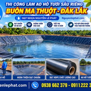 Thi công bạt lót hồ tai bmt dak lak